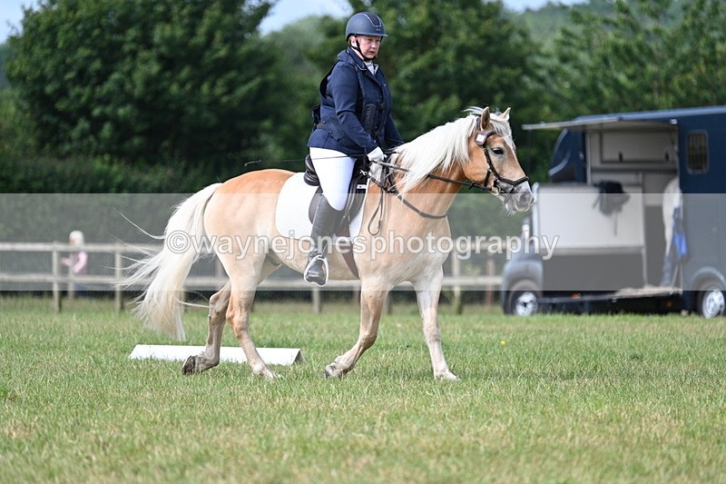 WJ7_1584 - Time 09:00 to 09:22