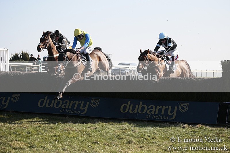 PtP 240218 162 - Vine & Craven Hunt Point-to-Point Barbury racecourse 24/02/18