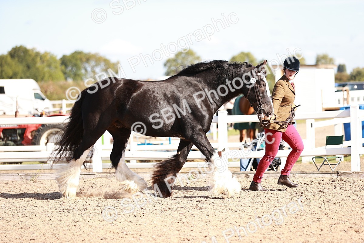 SBM_12585 - Class 404 - IH Traditional - Native Cob