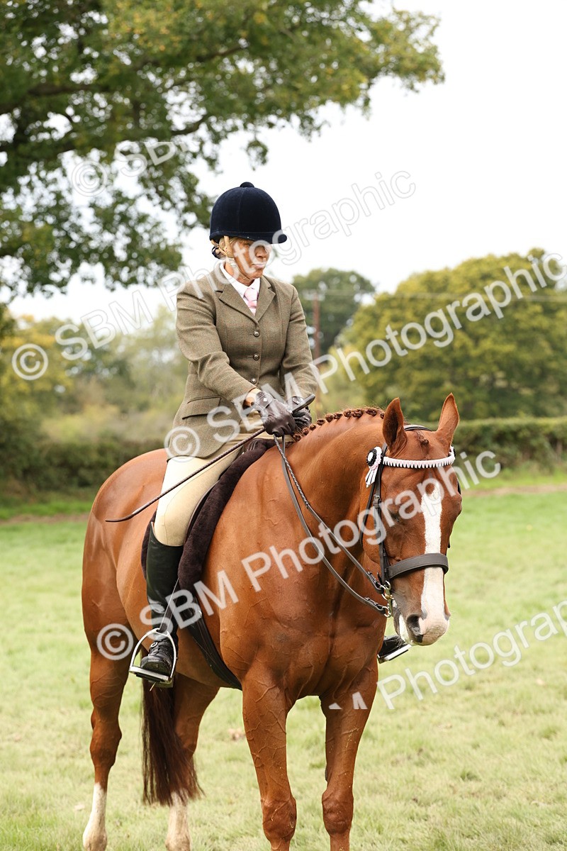 SBM_64295 - S65 - Riding Horse & Hack & Thoroughbred Ridden