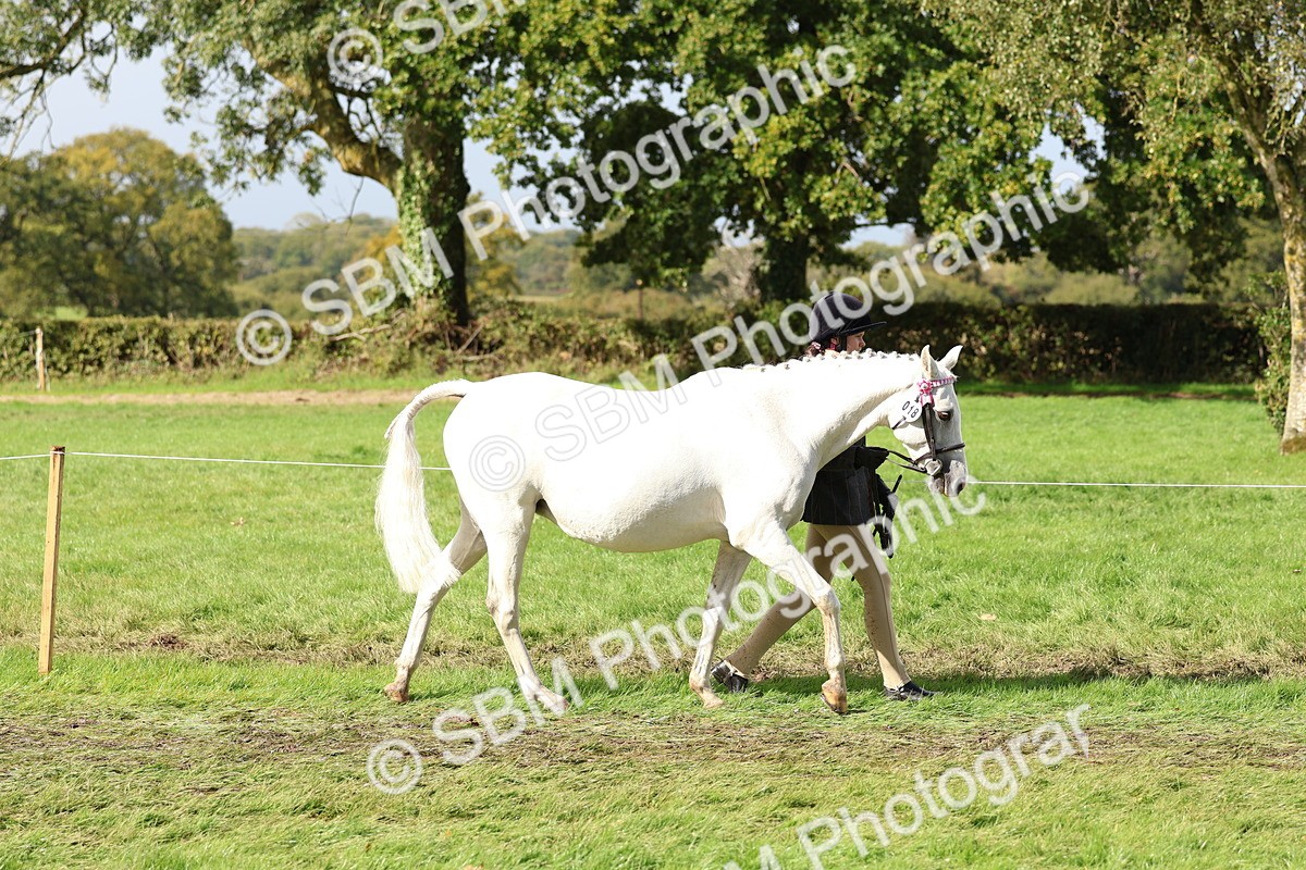 SBM_39403 - S24 - Young Veteran In Hand