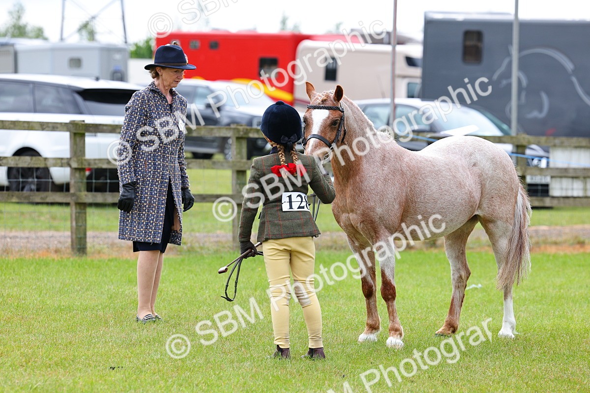 SBM_09433 - Class 44-45 - LIHS BSPS Open Nursery and Cradle Stakes