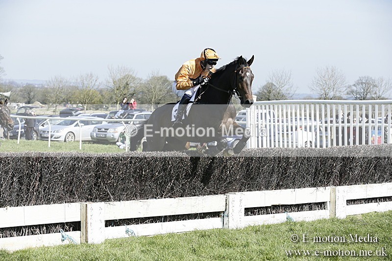 PtP 260317 45 - Mendip Farmers Point-to-Point Ston Easton 26/03/17