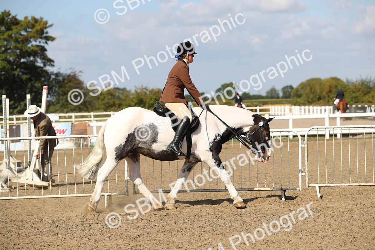 SBM_03120 - Class 44 Riding Club Horse/ Pony