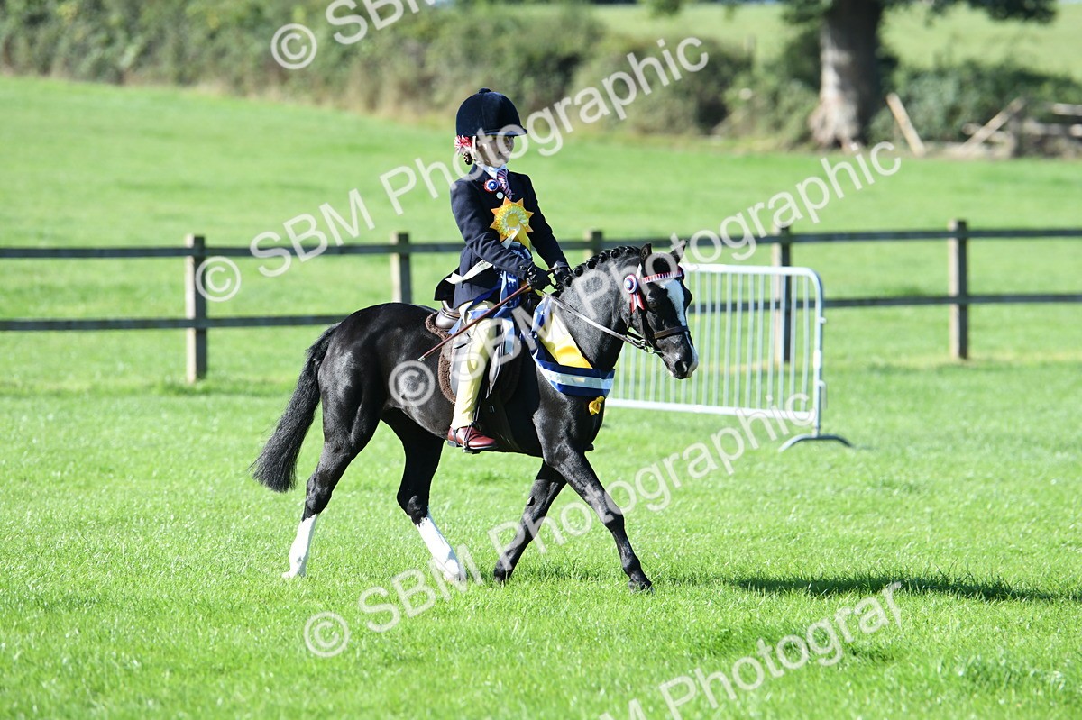SBM_35615 - Top Turnout Supreme Championship
