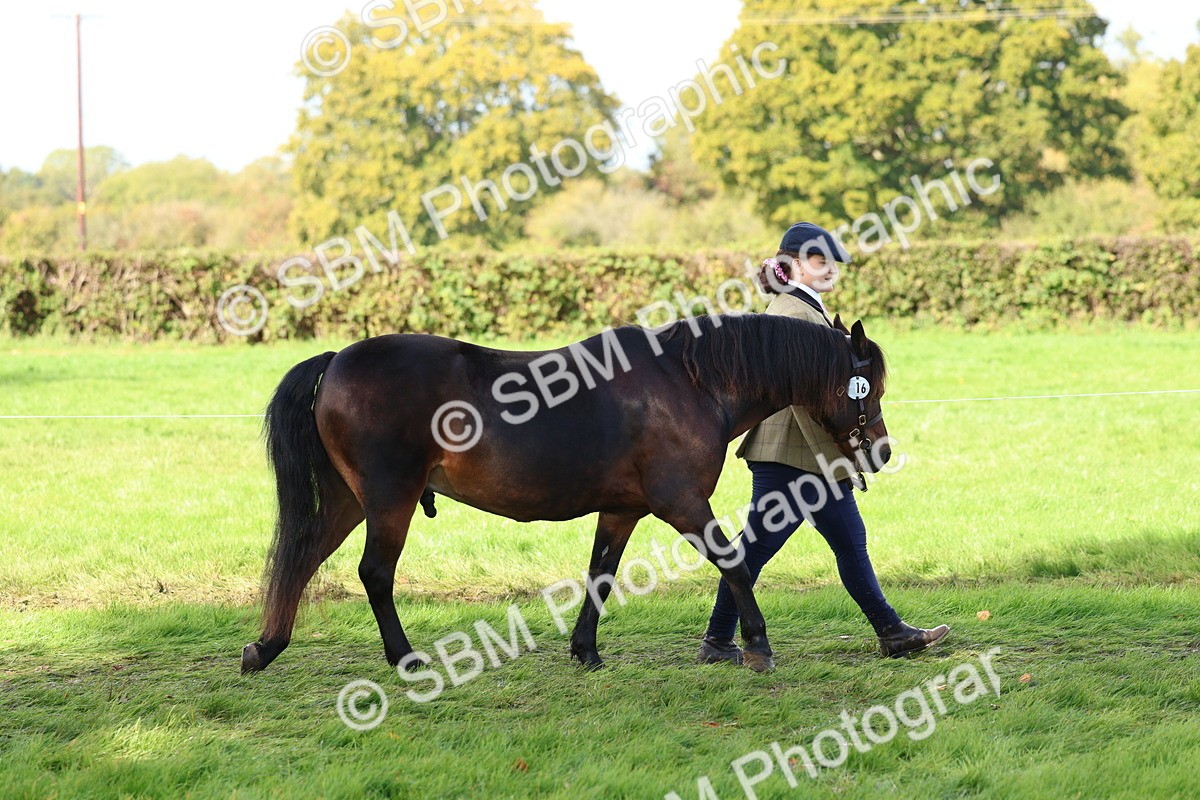 SBM_39389 - S24 - Young Veteran In Hand