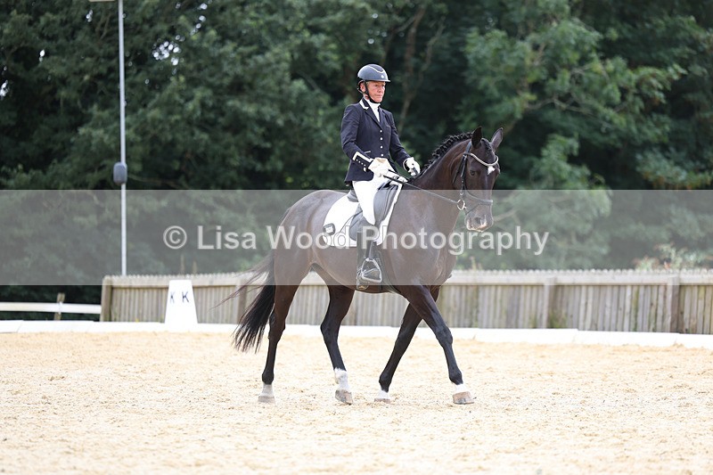 3E7A7250 - Class 9: Elementary 4 2024 - No sections