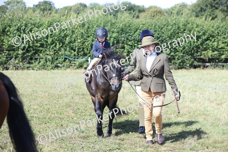 20250831-3120 - Class 24 - Absolute Beginners Pony