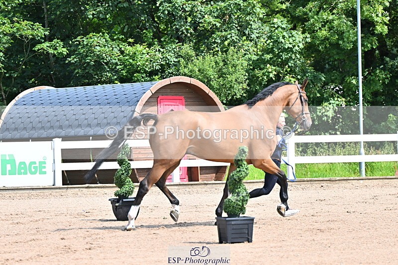 240718A-105237-00932 - Trot Up 11am to 12pm