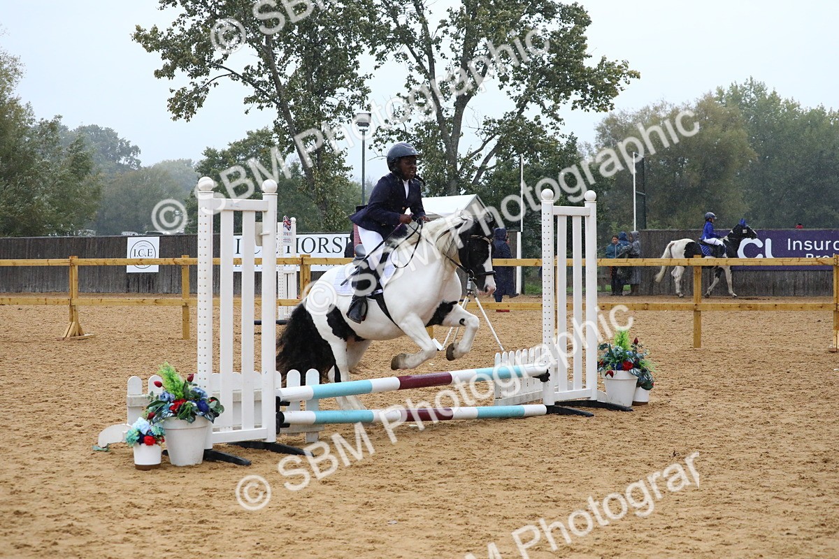 SBM_71448 - J4 - Mini Tour Junior Pony 45cm Championship
