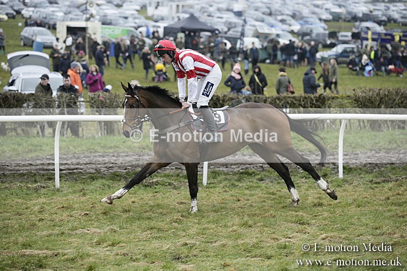 PtP 020418 -122 - Old Berks Point-to-Point Races Easter Monday 02/04/18