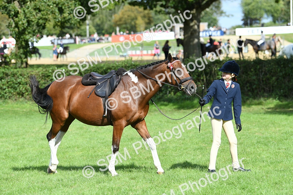 SBM_47152 - S12 - Family Horse & Pony