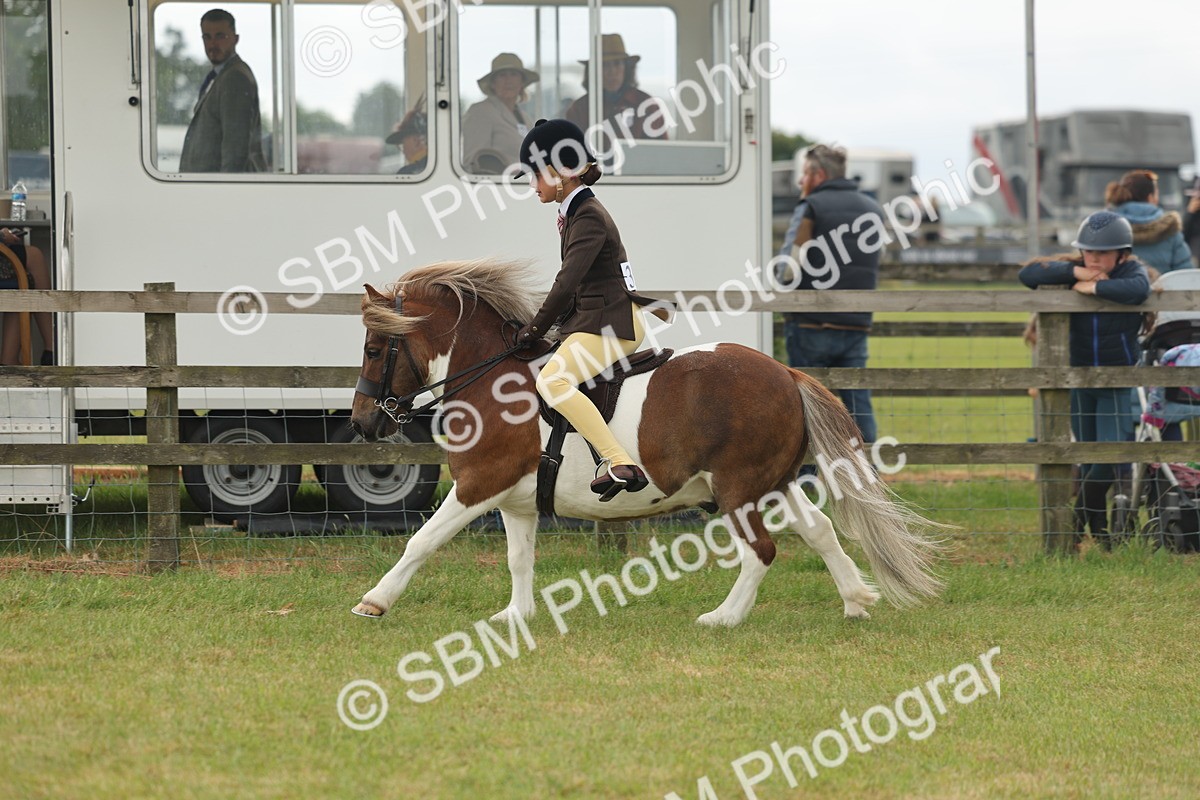 SBM_08900 - Class 78-80 - Ridden M&M Non Welsh Ponies