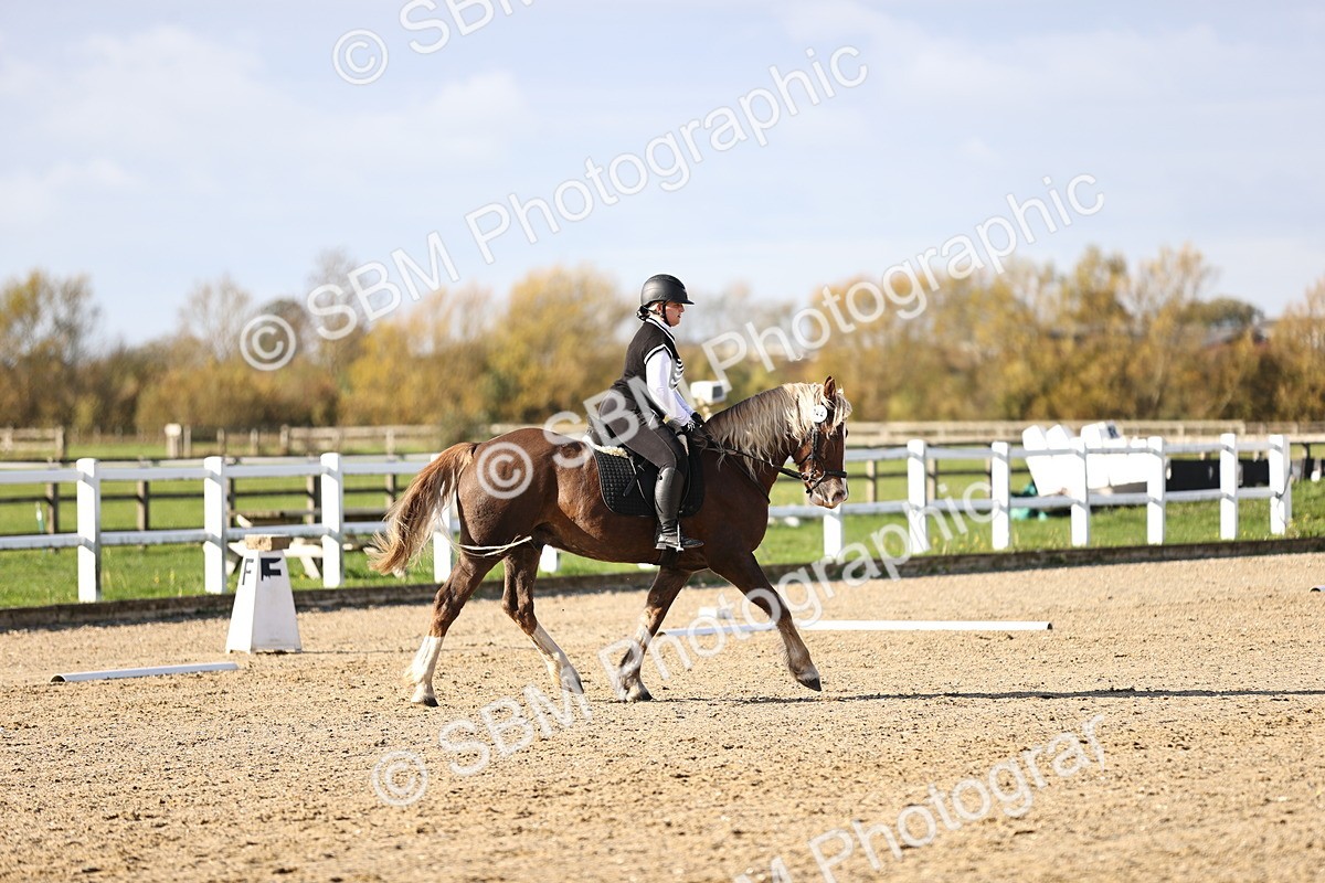 SBM_001300 - Class 2-4 - Intro 1 Intro 3