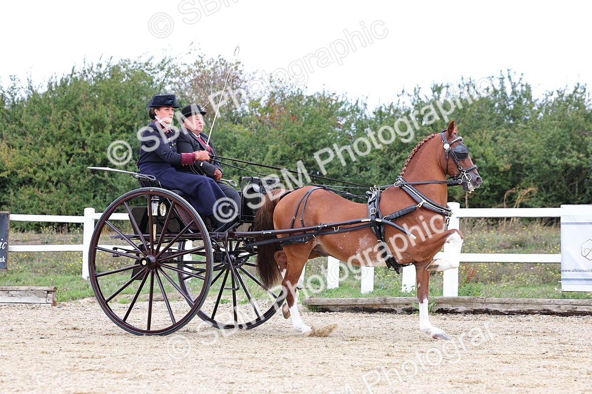 SBM_000412 - Class 4 - Junior Whip