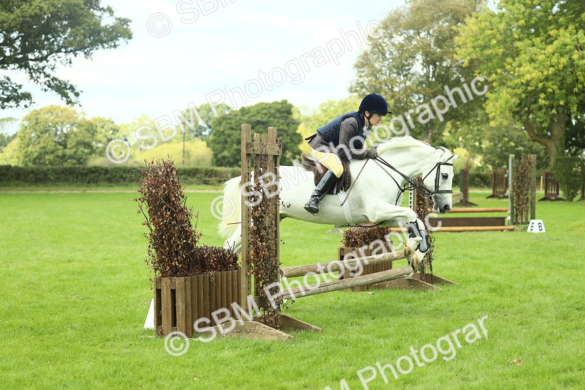 SBM_42804 - S30 - M&M Working hunter Pony