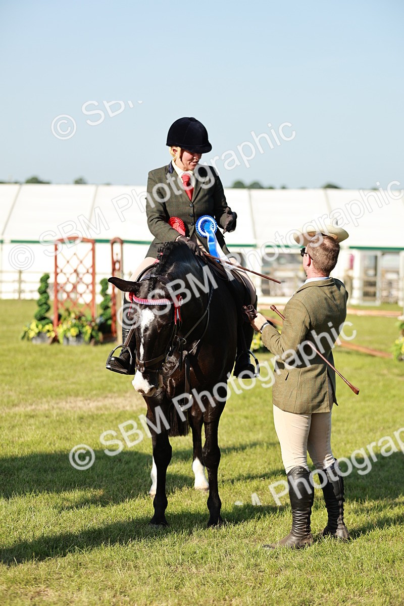 SBM_20125 - Class 115-116 - LIHS BSHA Rising Star Working Hunter & Show Horse