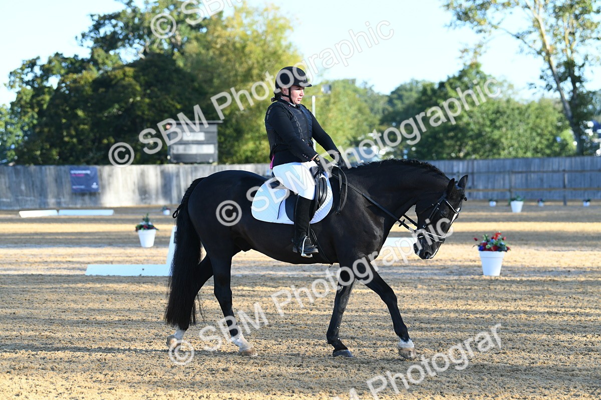 SBM_14297 - D4 - Small Tour Championship - Intro B