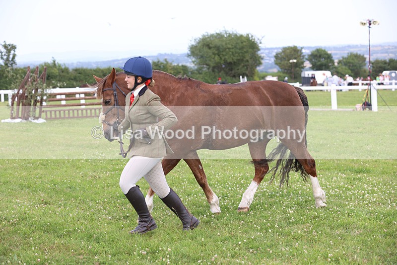 JPP_3942 - Class 23: Working Hunter 80cm