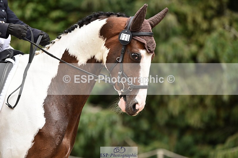 140110A-030854-11175 - 070-Deborah.Randall-Kindred.Spirit