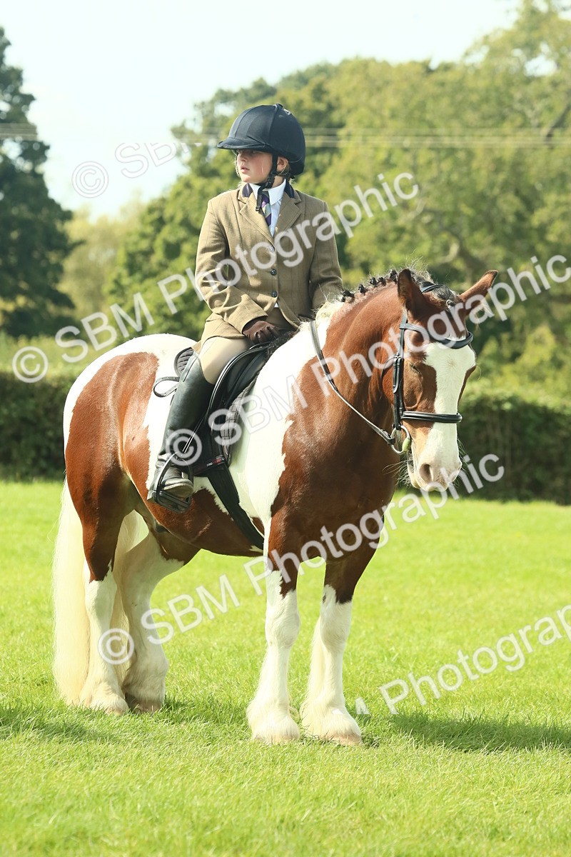 SBM_67570 - S56 - Coloured Pony Ridden