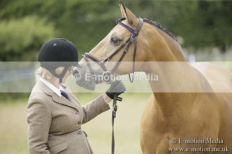 B230619-0572 - Bourne Valley Riding Club Summer Show 23/06/19