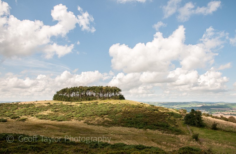 9853 Bromlow Callow - Corndon Hill