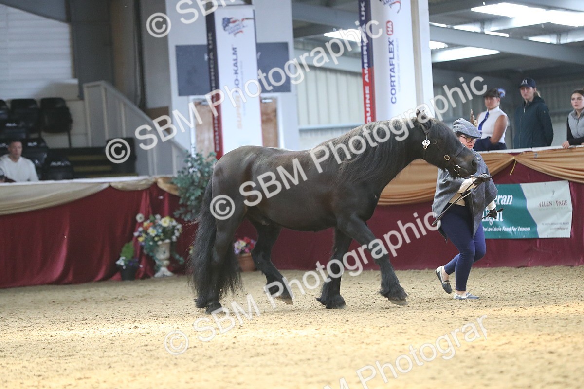 SBM_15224 - Class 501 M&M IH Supreme Final