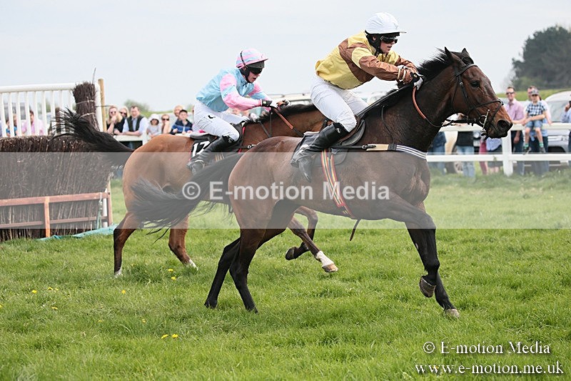 PtP 210418 232 - South & West Wilts Point-to-Point Larkhill 21/04/18