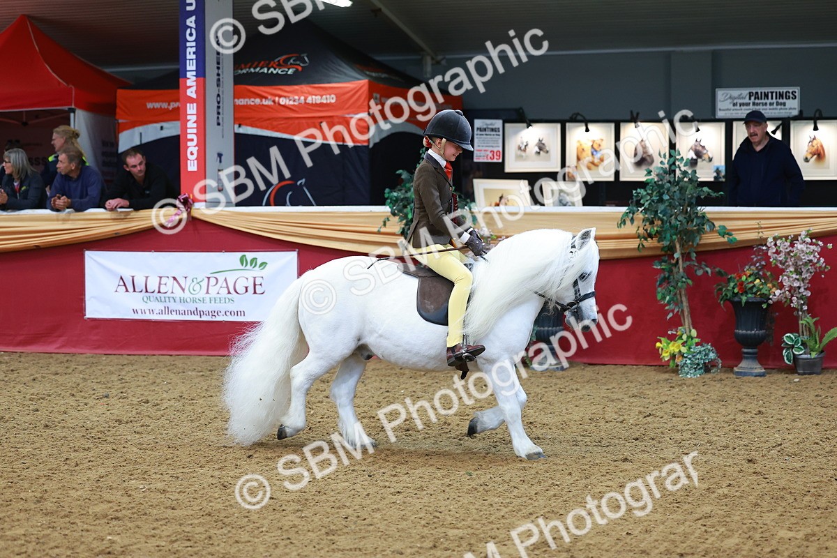SBM_09888 - Class 102 - HOYS Veteran Qualifier - Ridden Veteran