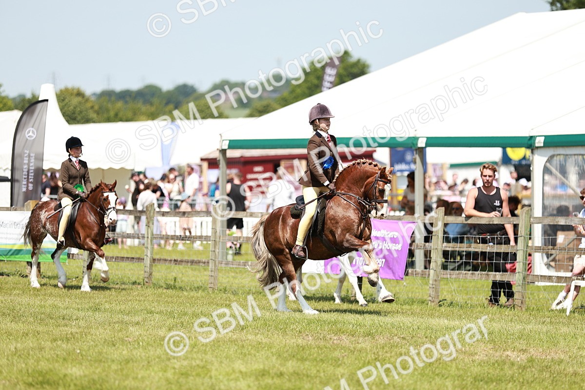 SBM_15751 - Class 108-109 - BSPS LIHS Open Gradle & Nursery Stakes