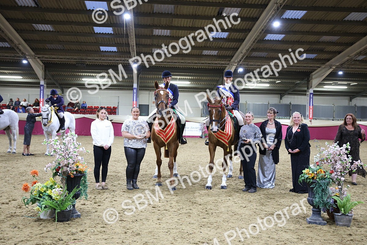 5K7A1537 - Class M Ridden Pairs Champ
