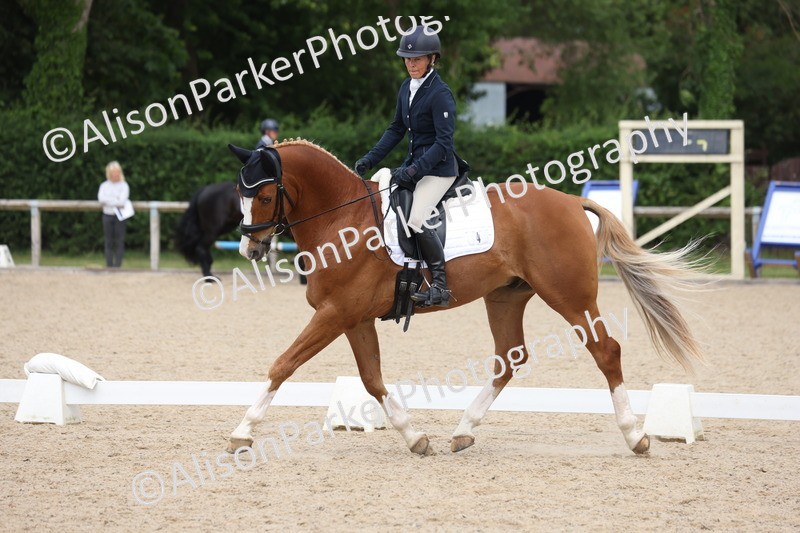 20250604-0461 - Class 3 - Novice 5