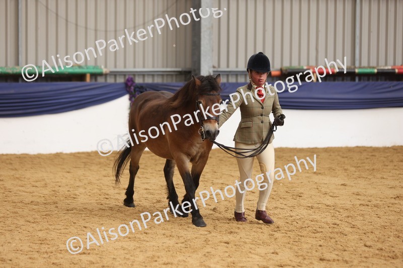 20260913-1725 - Class 115 - Gelding 4years and over