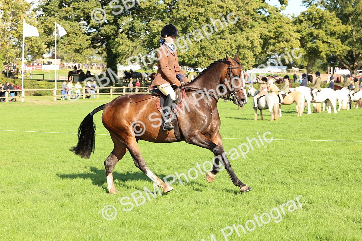 SBM_50118 - S34 - Novice & Newcomers Working Hunter