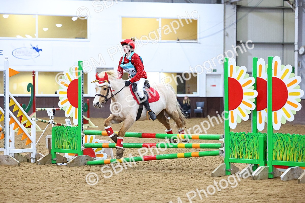 SBM_001822 - Class 4 - Festive Fences - 70cm