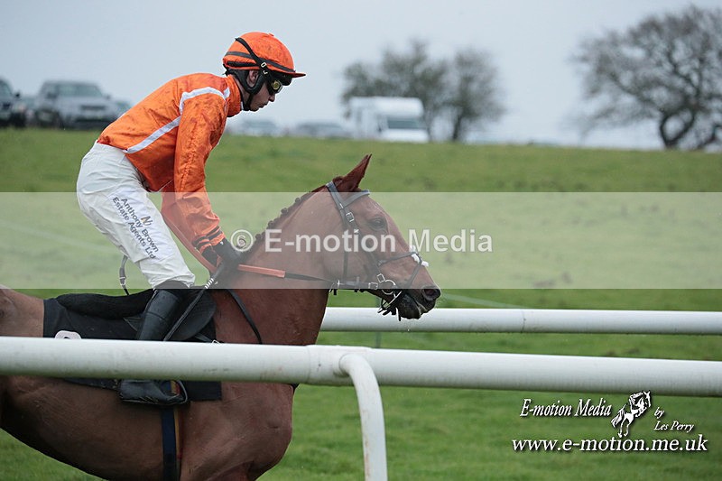 PtP 031223 488 - Wheatland Hunt PtP Chaddesley Races 03/12/23
