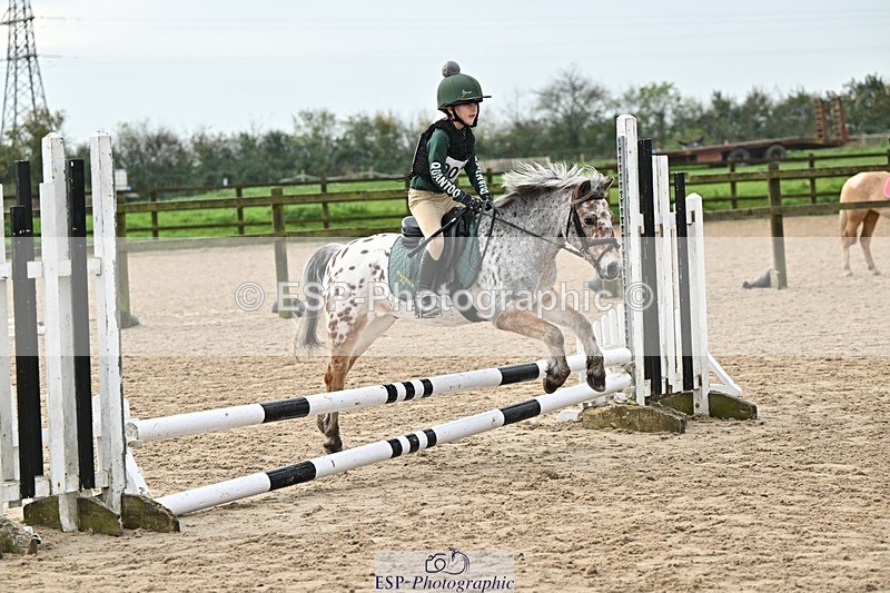 241110-112855-00435 - 50-55cm Arena Eventing