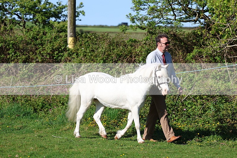 3E7A8316 - Class 12: M & M Small Breeds