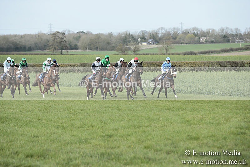 PtP 230319 406 - VWH Hunt Siddington Point-to-Point Racing 23/03/19