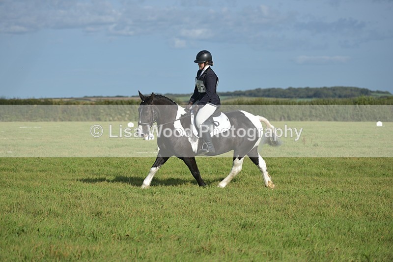 RAY_7306 - Class 2B: Trekenning Open: Dressage