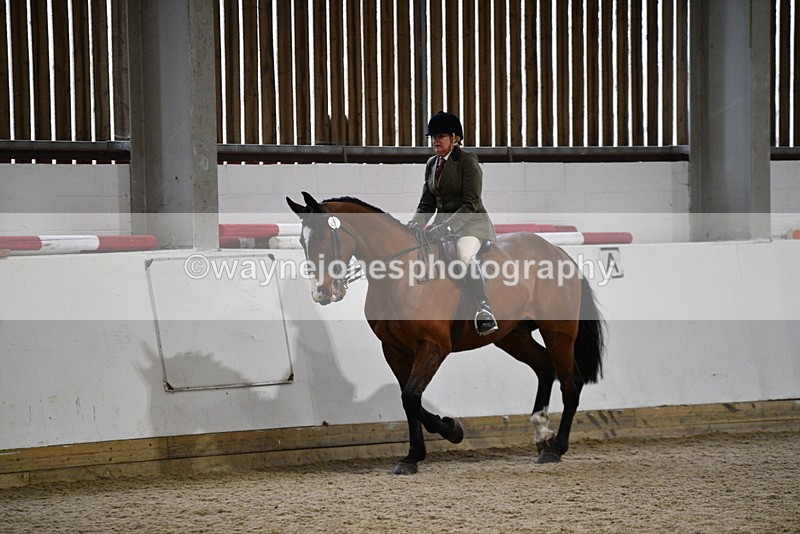 WJ5_8998 - Class 15 Ridden Show Horse