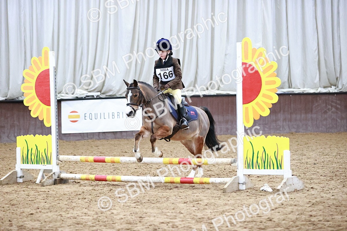 SBM_000566 - Class 2 - 50cm