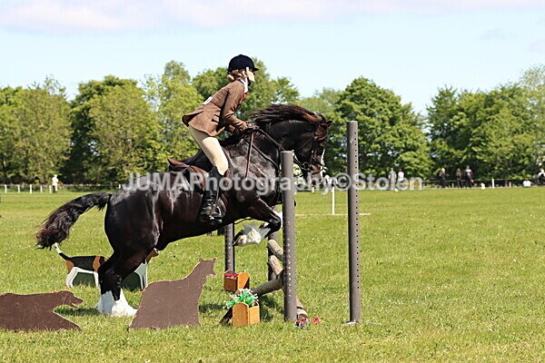 IMG_3692 - Working Hunter