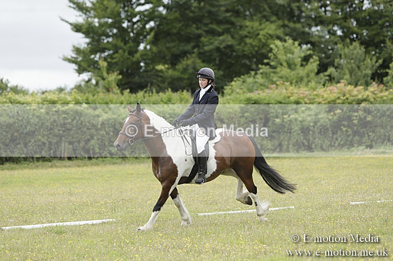 BVR160717-1383 - Class 3 Dressage 16/07/17
