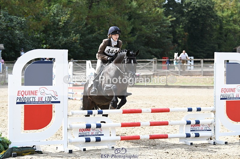 260829A-132019-28612 - Jump Off