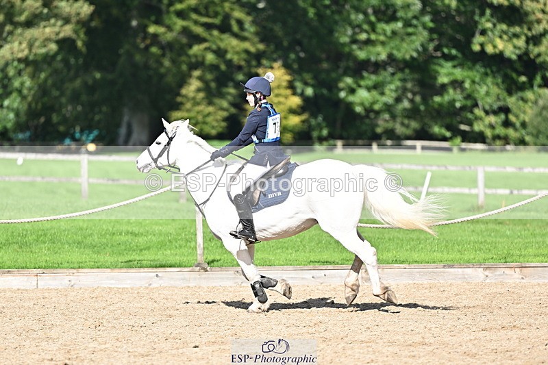 251005A-140806-04299 - Cls 09 Nov 80-85cm