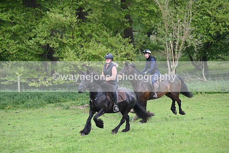 WJ6_2673 - A camera