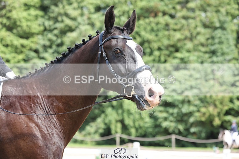 240721-143312-09570 - 226-Rosey_Bradburn-High_Spirits_II
