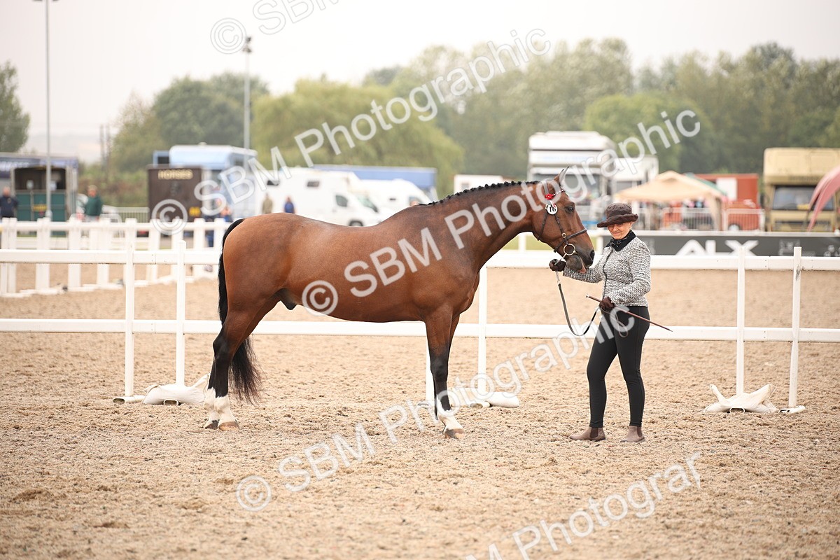 SBM_22109 - Class 707 - Ridden Groom-Helpers Class